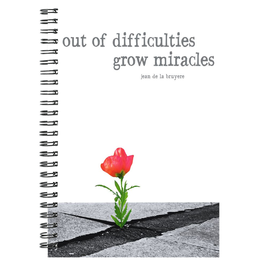 Lisa Weedn Miracles Notebooks