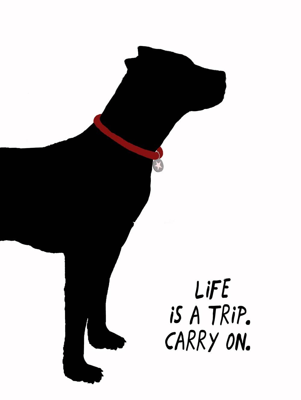 Life Is A Trip. Carry On.  4444-0257